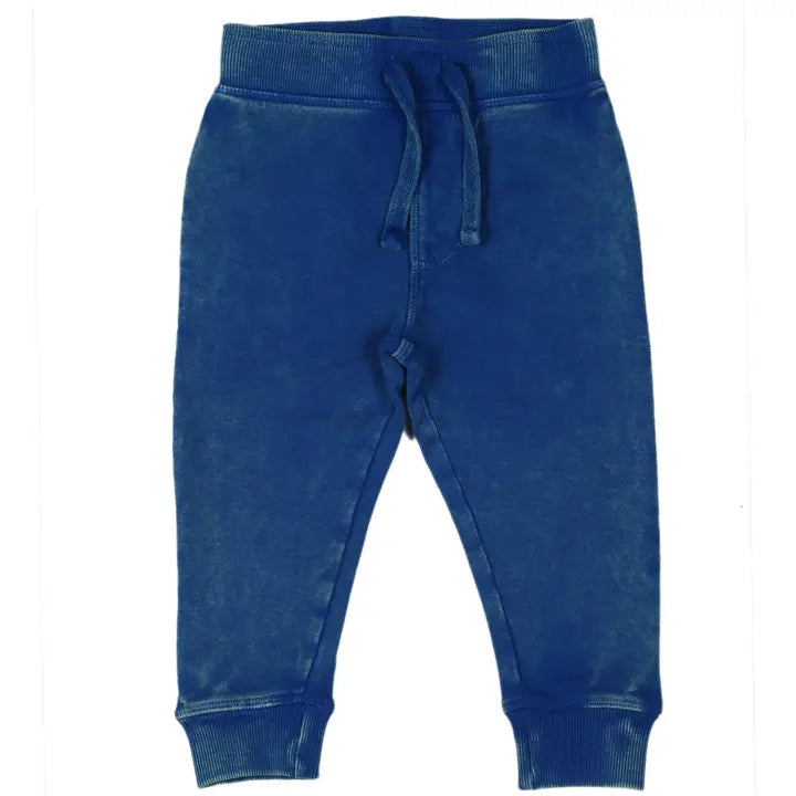 Enzyme French Terry Jogger - Cobalt