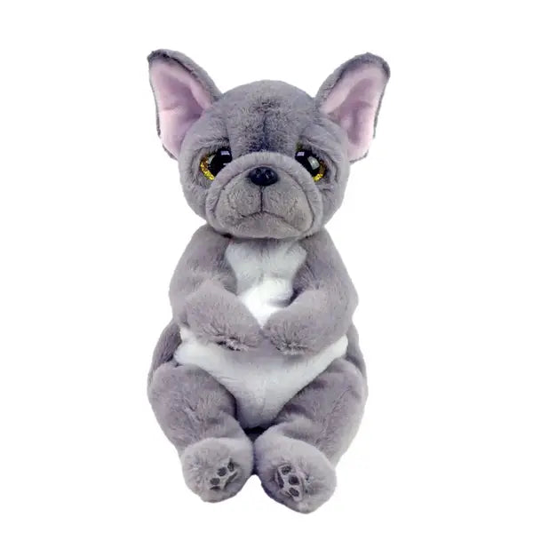 WILFRED - dog gray belly reg