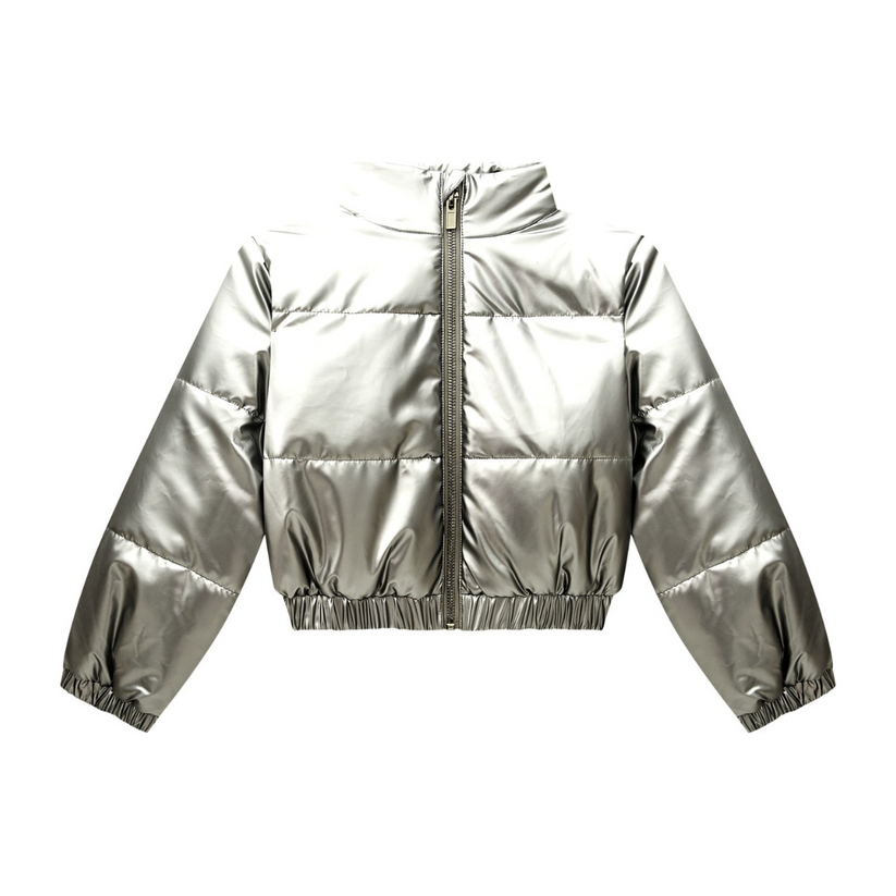Metallic Silver Cropped Jacket