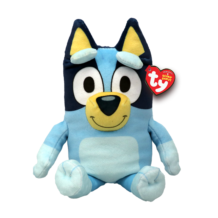 BLUEY - floppy reg