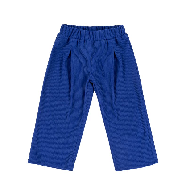 Navy Corduroy Pants (EMC)